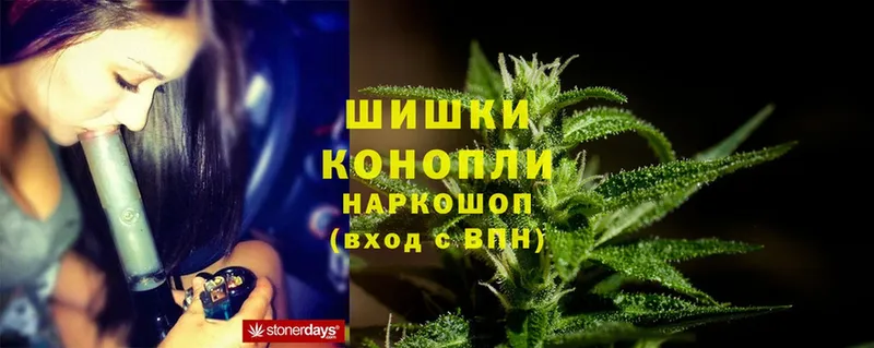 Канабис OG Kush  Дальнегорск 